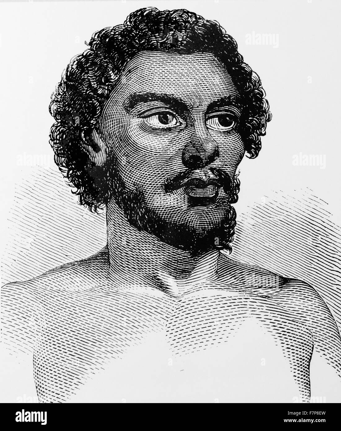 Jackey JACKEY a native of New South Wales Who both Stock