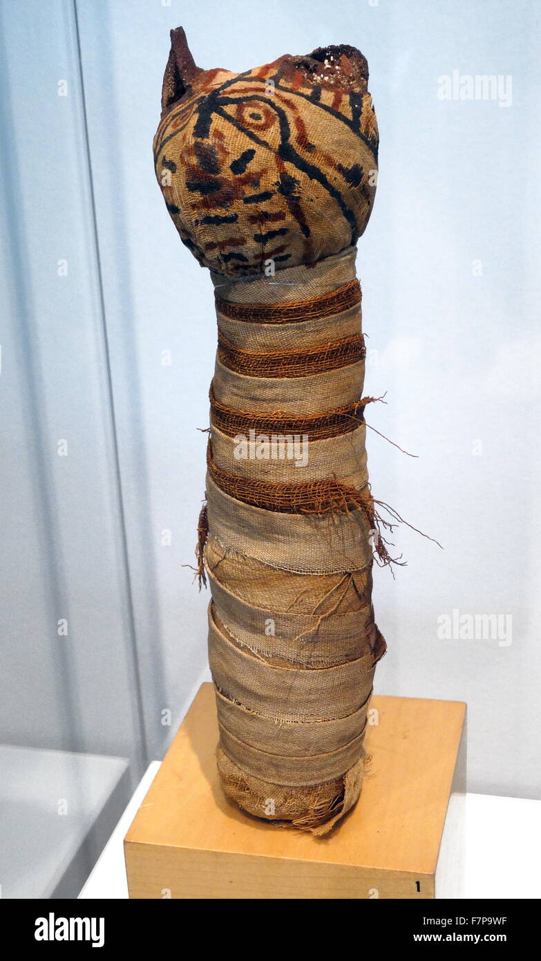 Egyptian mummified cat. Late Period-Ptolemaic Period (715-30 B.C ... Egyptian mummified cat. Late Period-Ptolemaic Period (715-30 B.C ...