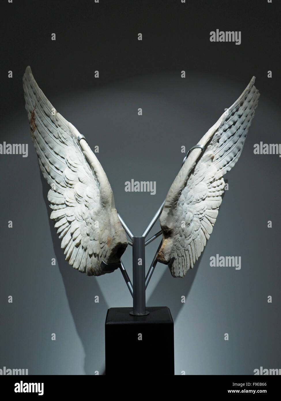 Marble wings on display in the Roman sculpture museum on the Palatine