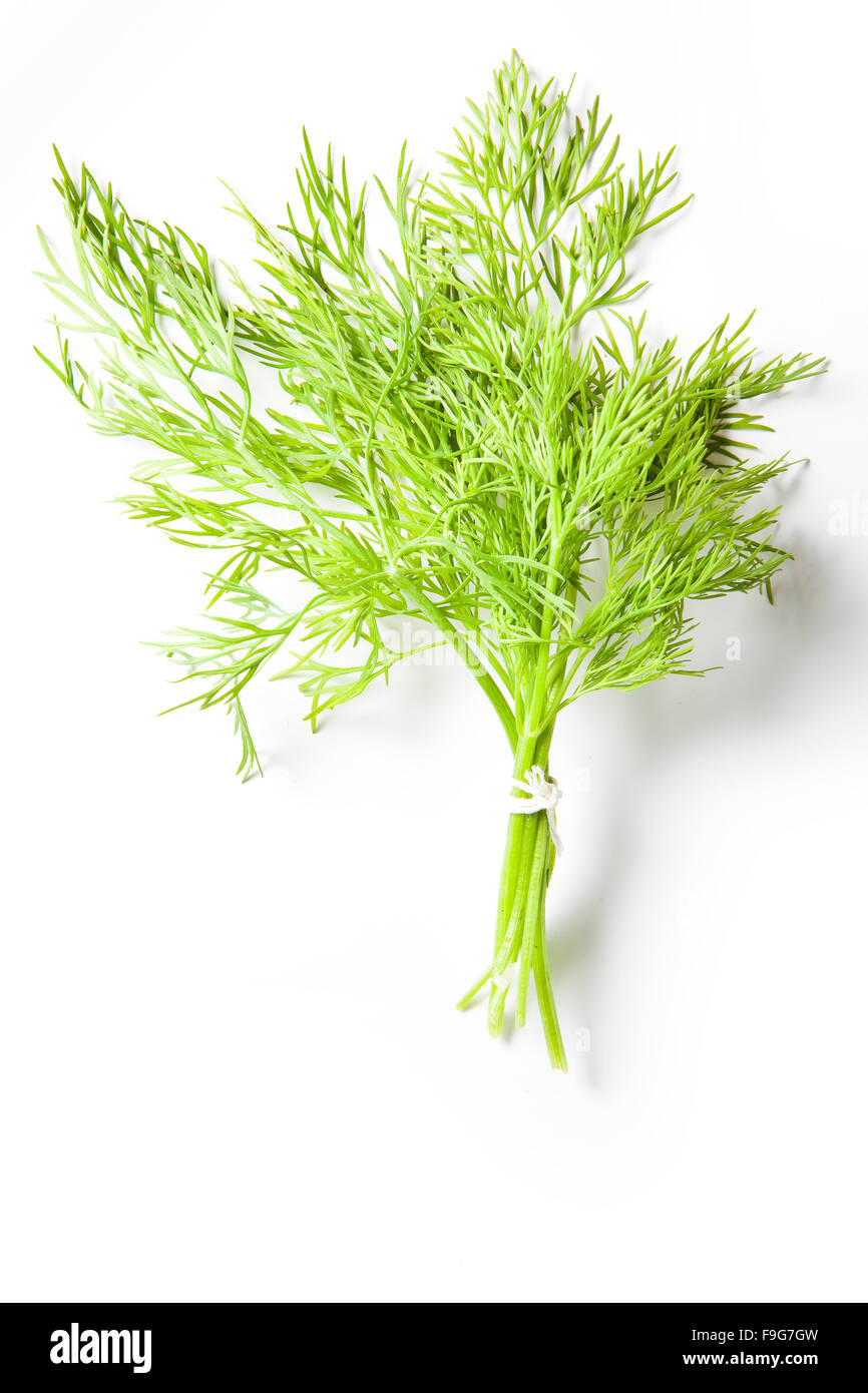 Dill Stock Photo, Royalty Free Image 91940937 Alamy