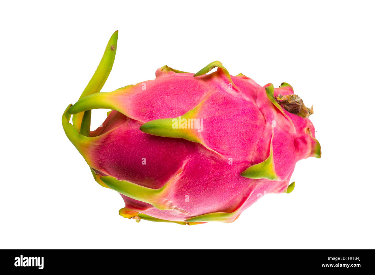 dragon fruit - famous asian fruit stock photo, royalty free image