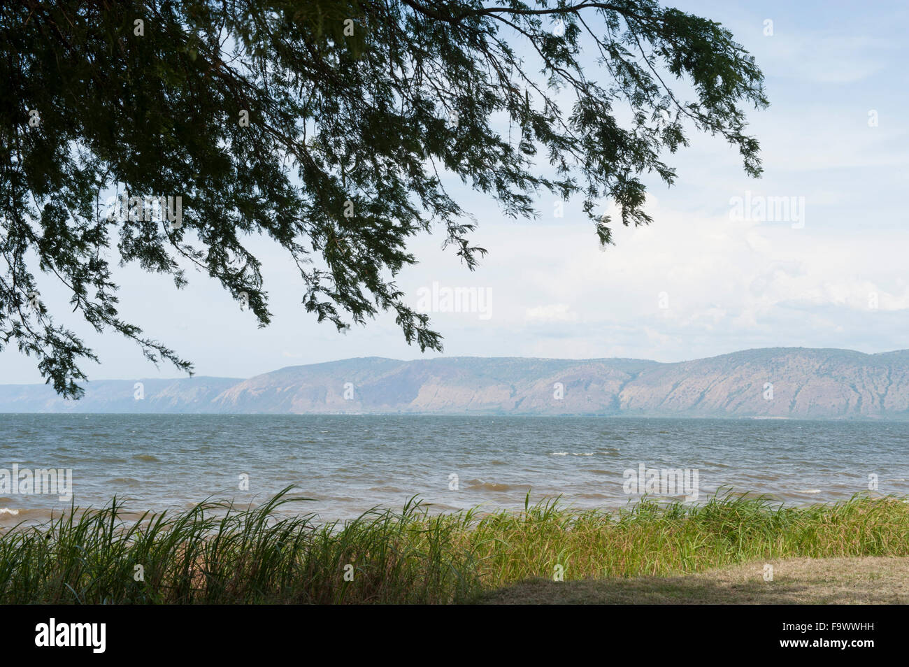 Lake Albert, Uganda Stock Photo, Royalty Free Image 92152637 Alamy