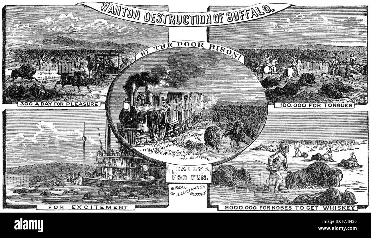 “Wanton Destruction of Buffalo”. By Artist John Reuben Chapin, c Stock