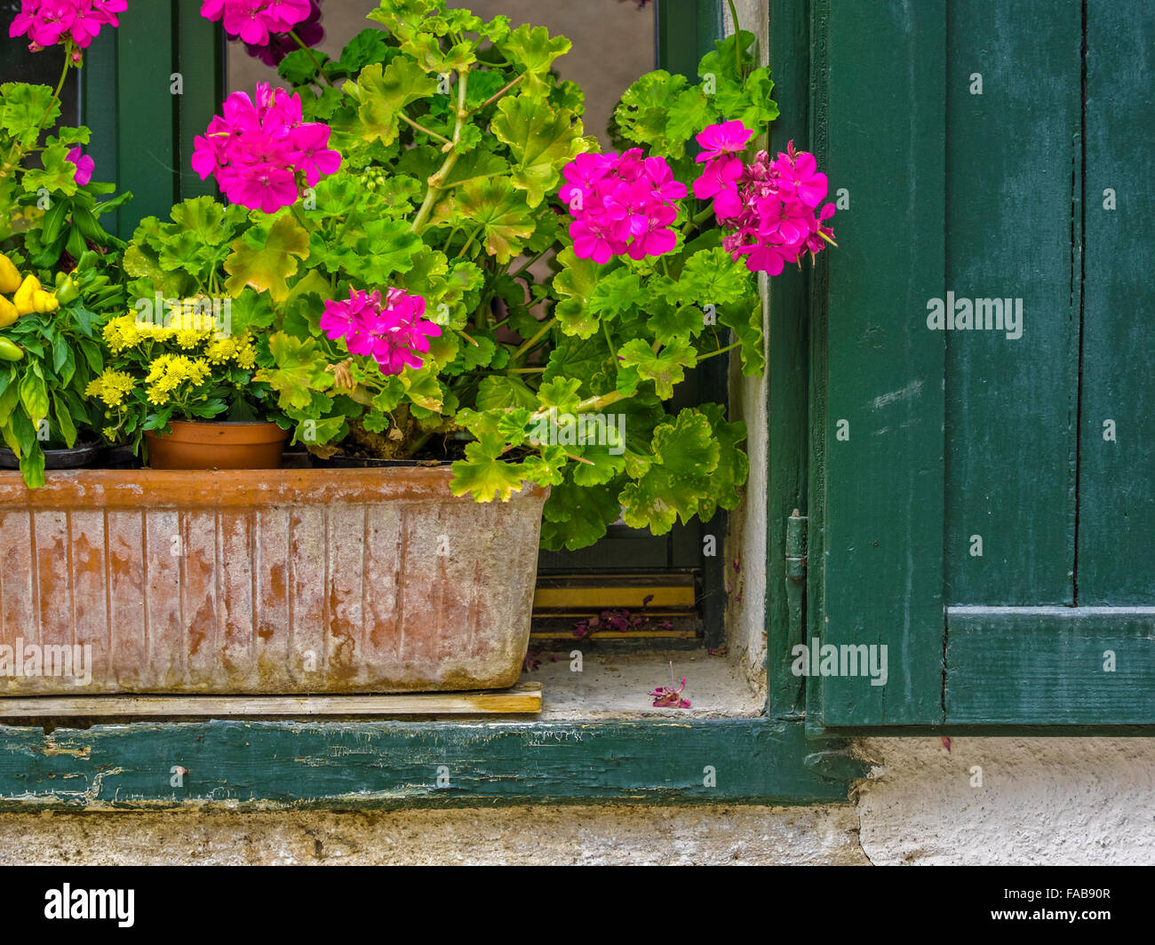 Rustic Window And Flower Box In Town Of Kaltern Northern Italy Rustic Window And Flower Box In Town Of Kaltern Northern Italy