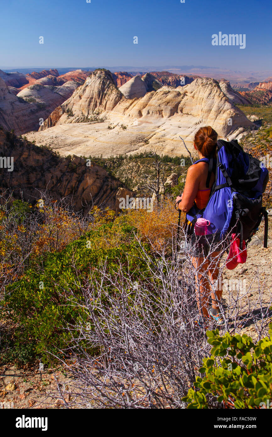 Backpacking on the West Rim Trail, Zion National Park, Utah Stock Photo