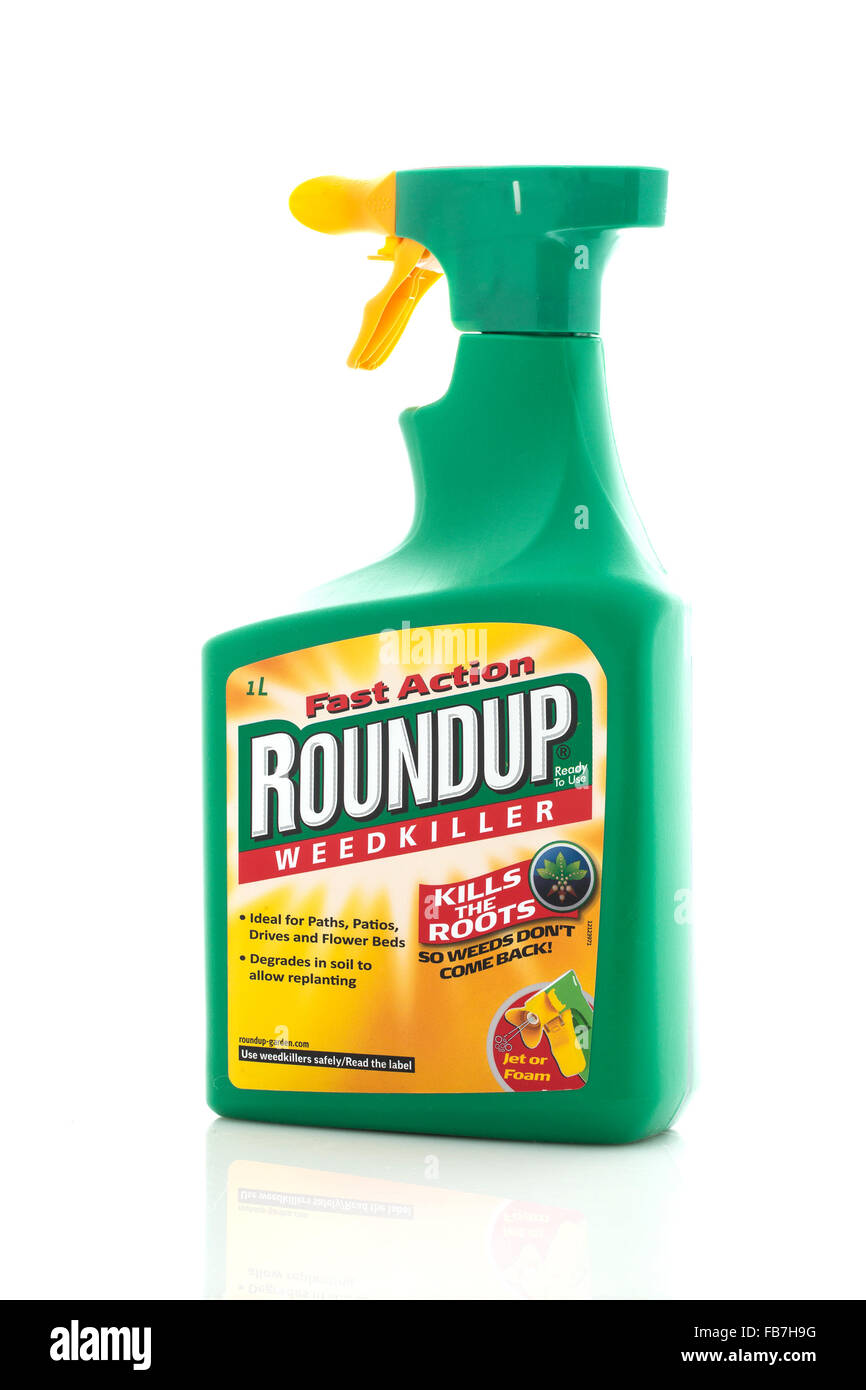 Roundup Weedkiller Spray Bottle On A White Background Roundup Weedkiller Spray Bottle On A White Background