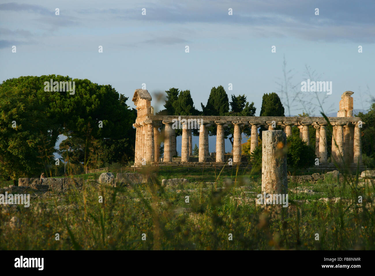 Roman Temple Of Athena Paestum Italy Stock Photo Alamy