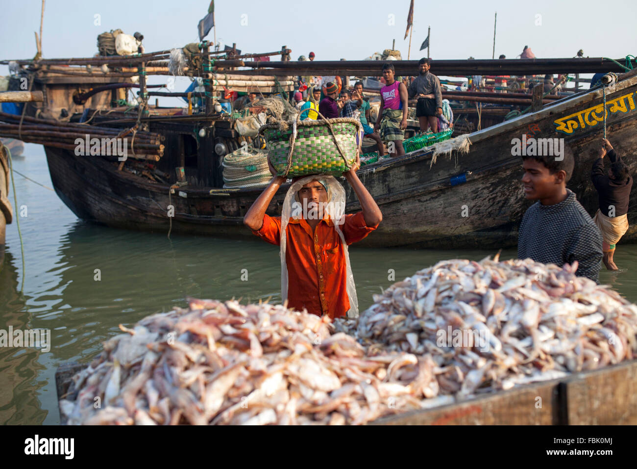 DHAKA, BANGLADESH 01st January 2016 Fisherman unloading fish from
