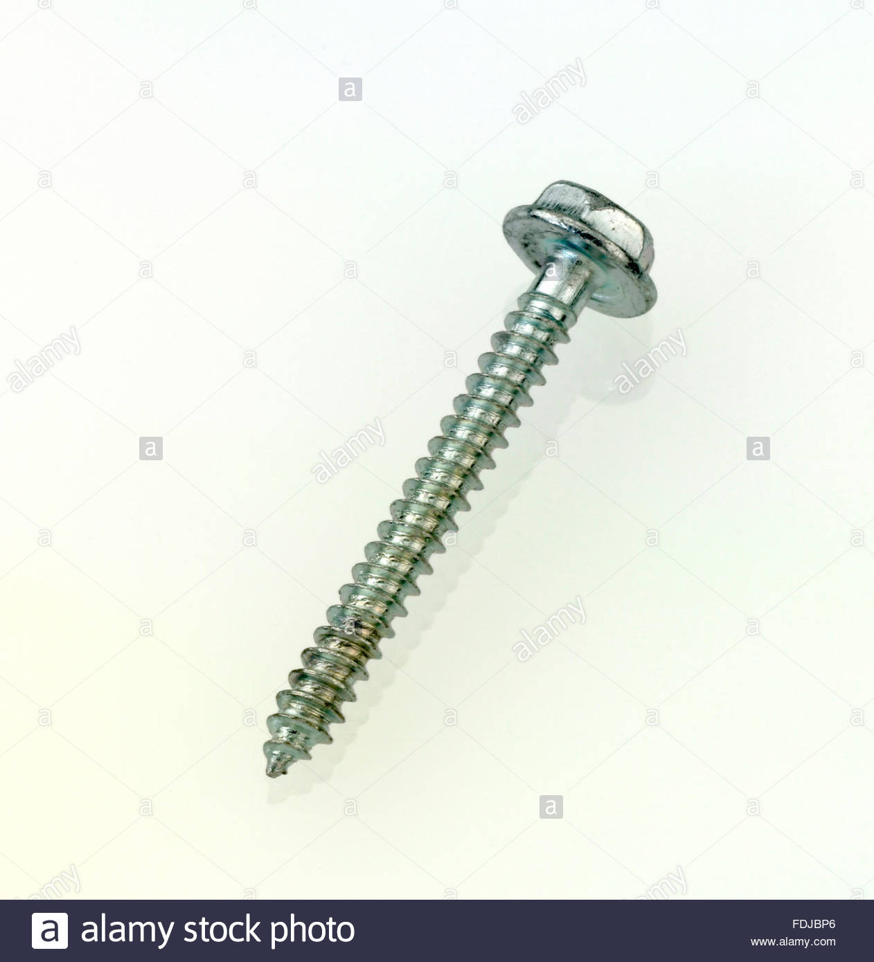 A silver cladding screw fixing studio image Stock Photo, Royalty Free