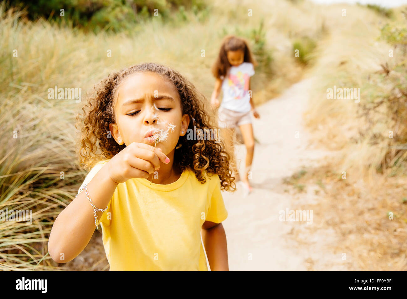 Mixed Race Girl Blowing Dandelion Seeds Stock Photo Alamy