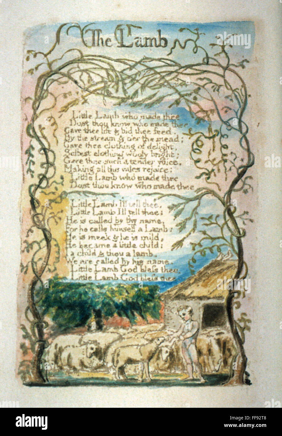 william blakes the lamb essay william blakes the lamb essay
