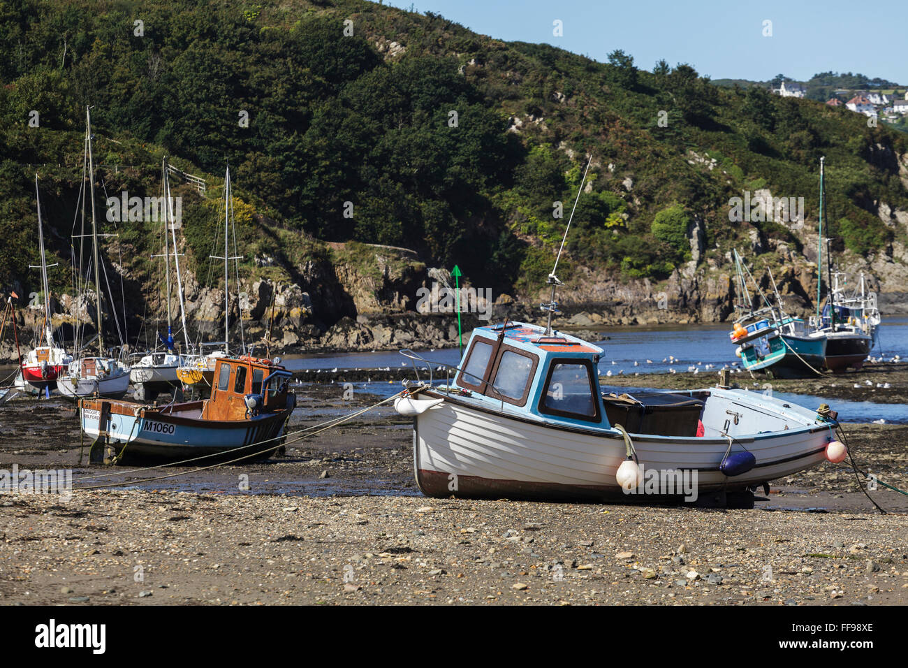 Sailing boats at Lower Fishguard Harbour, Pembrokeshire, Wales, UK