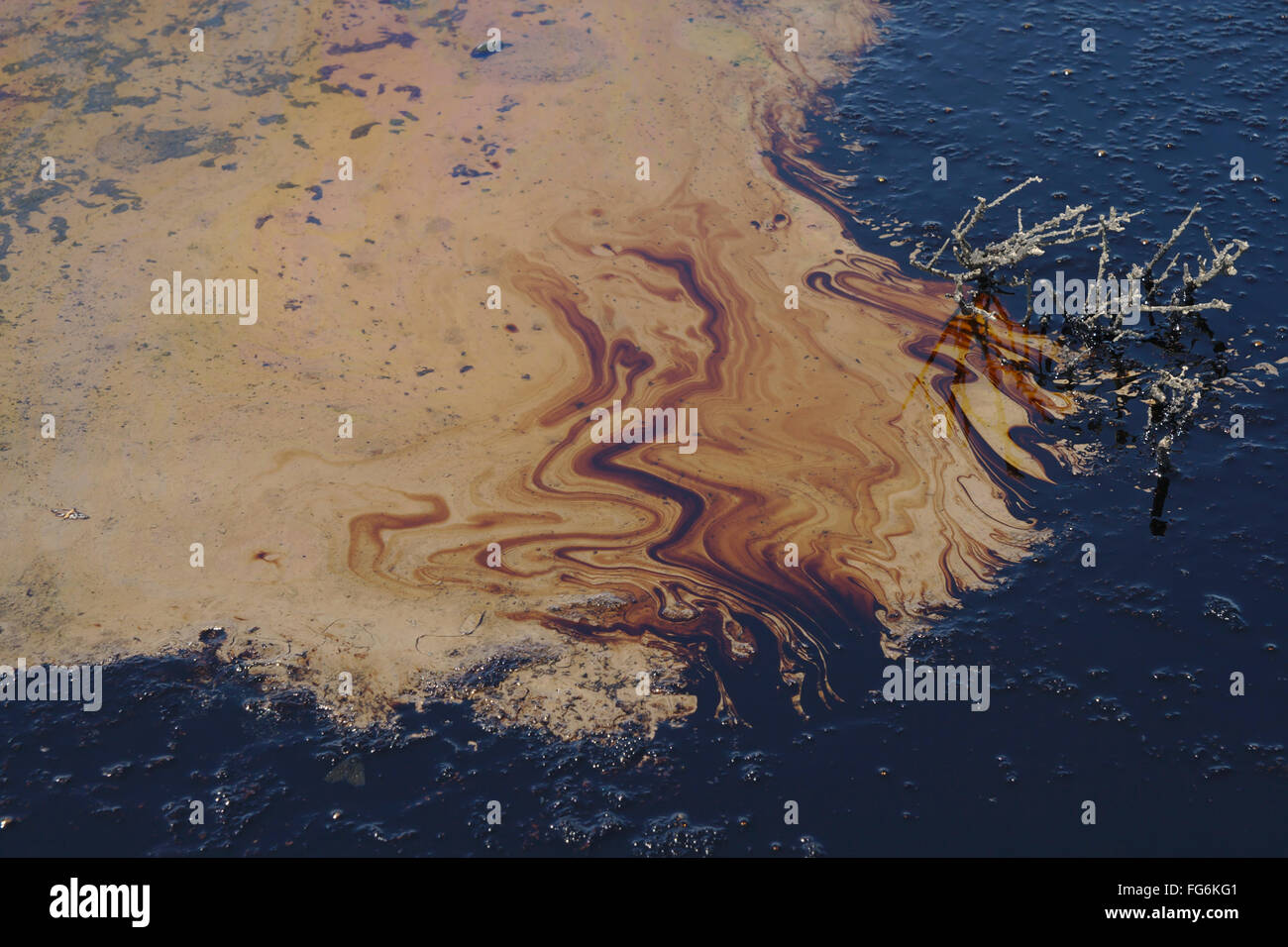 Petroleum from an natural oil seep flowing into a puddle of water Stock