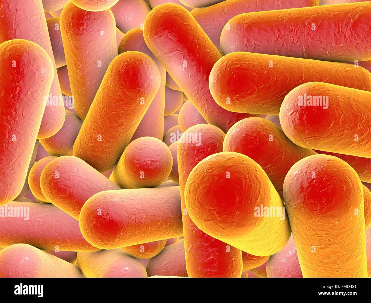 Enterobacter Flagyl Septra