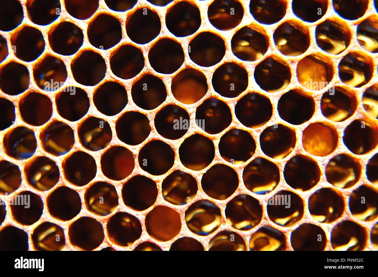 Stock Photo, Royalty Free Image 99402644 Alamy