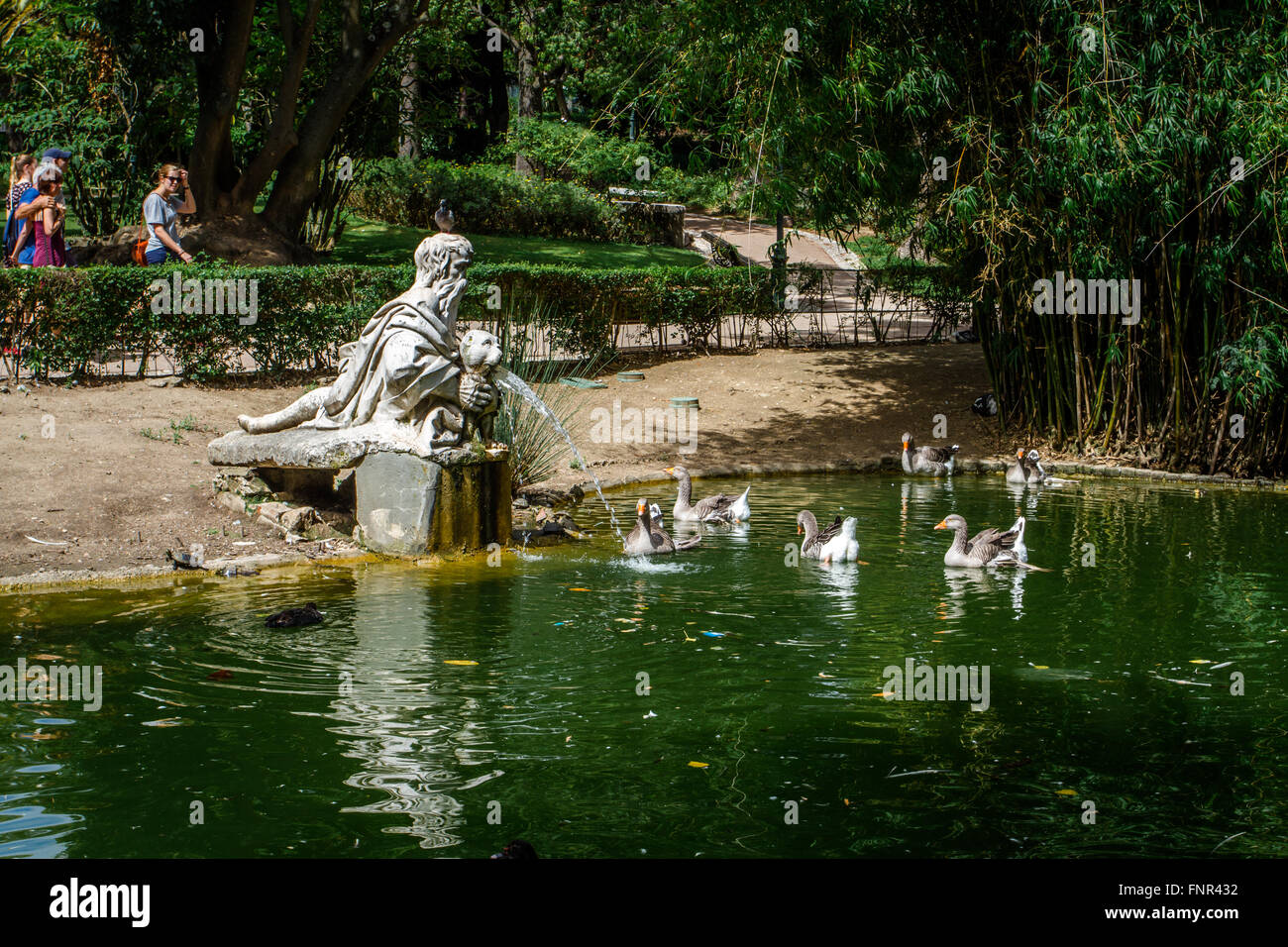 Jardim Da Estrela (Garden of Estrela), Lisbon, Portugal Stock Photo, Royalty Free Image Artesanato Em Couro ~ Jardim Da Estrela (Garden of Estrela), Lisbon, Portugal Stock Photo, Royalty Free Image
