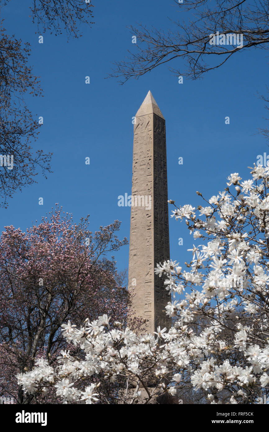 Cleopatra S Needle Obelisk In Central Park Nyc Stock Photo Alamy