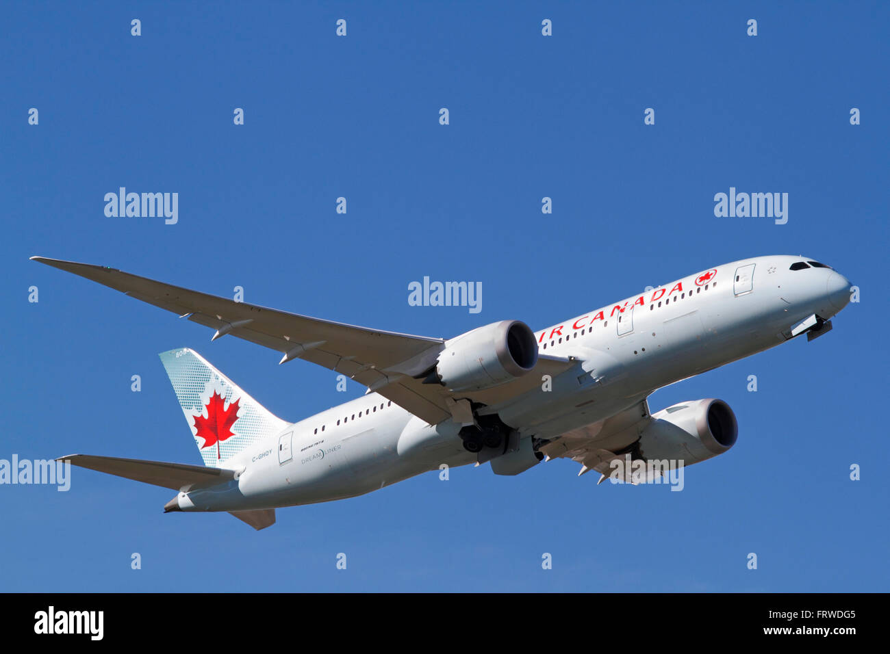 Stock options air canada