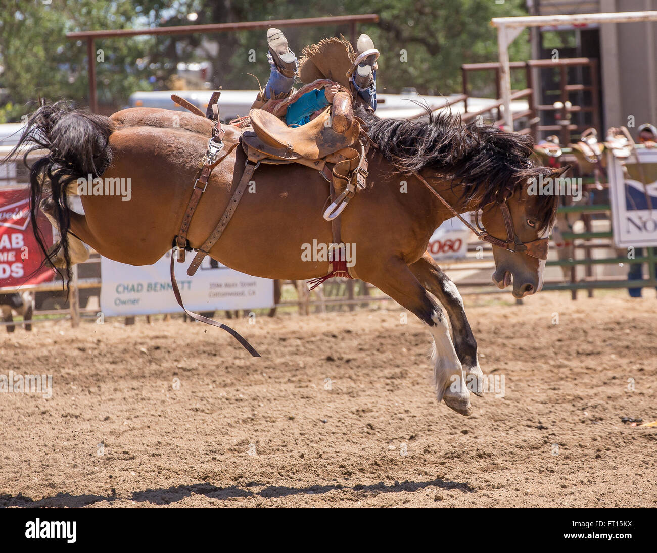 Rodeo action in Cottonwood, California Stock Photo, Royalty Free Image