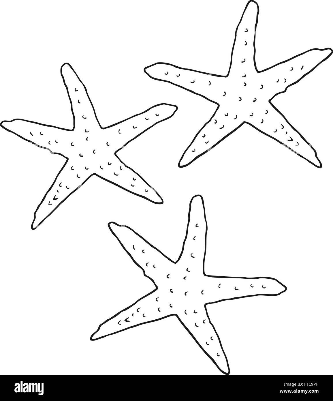 Морская звезда рисунок