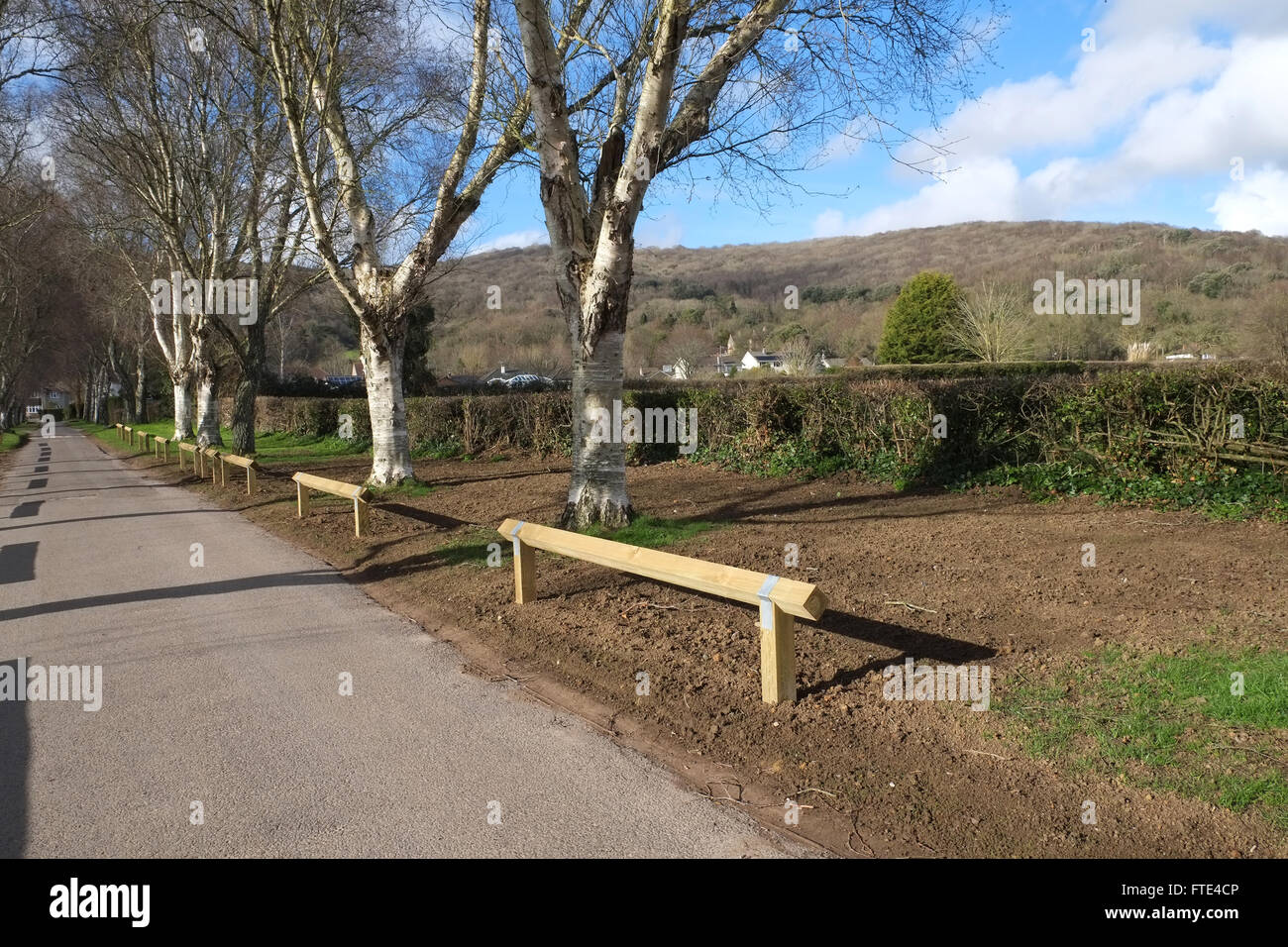 Low fence rails erected to prevent cars from parking on grass verges