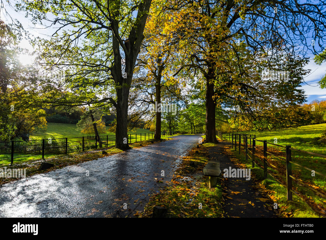 Pollok Country Park, Glasgow, Scotland, United Kingdom Stock Photo