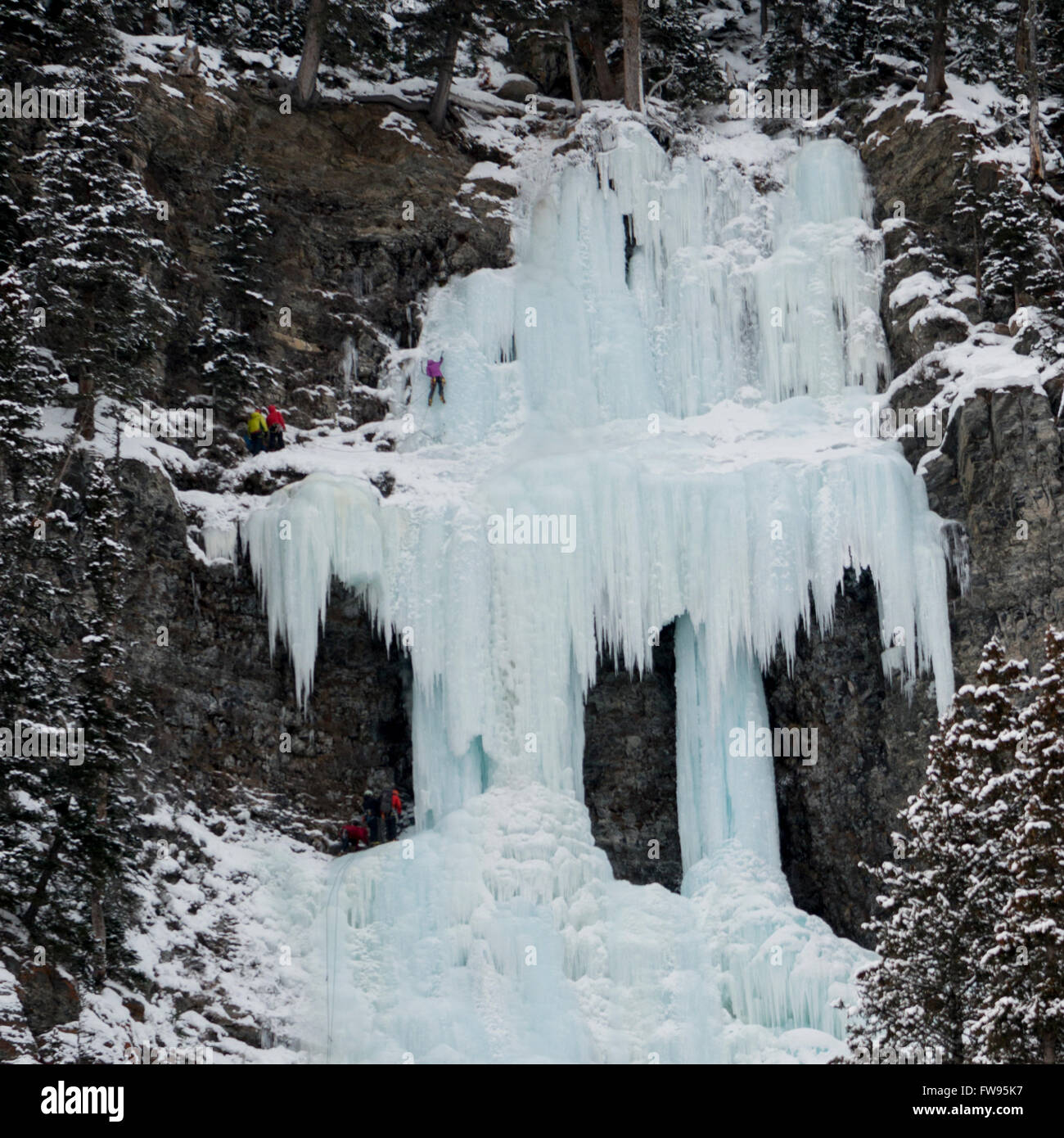 Ice climbers on frozen waterfall, Lake Louise, Banff National Park