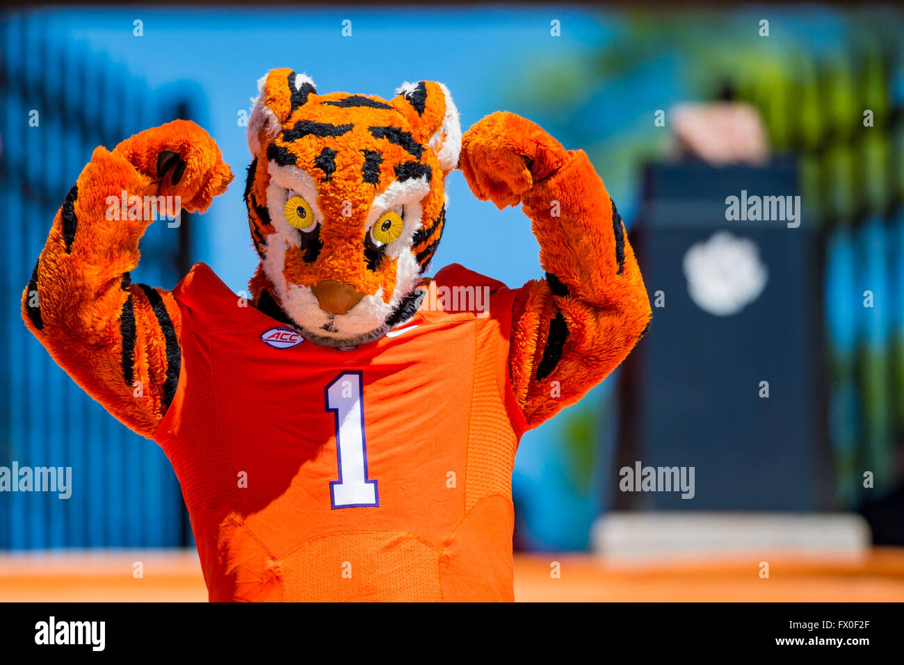 The Clemson Tiger Mascot During The Clemson Football Spring Game Stock 