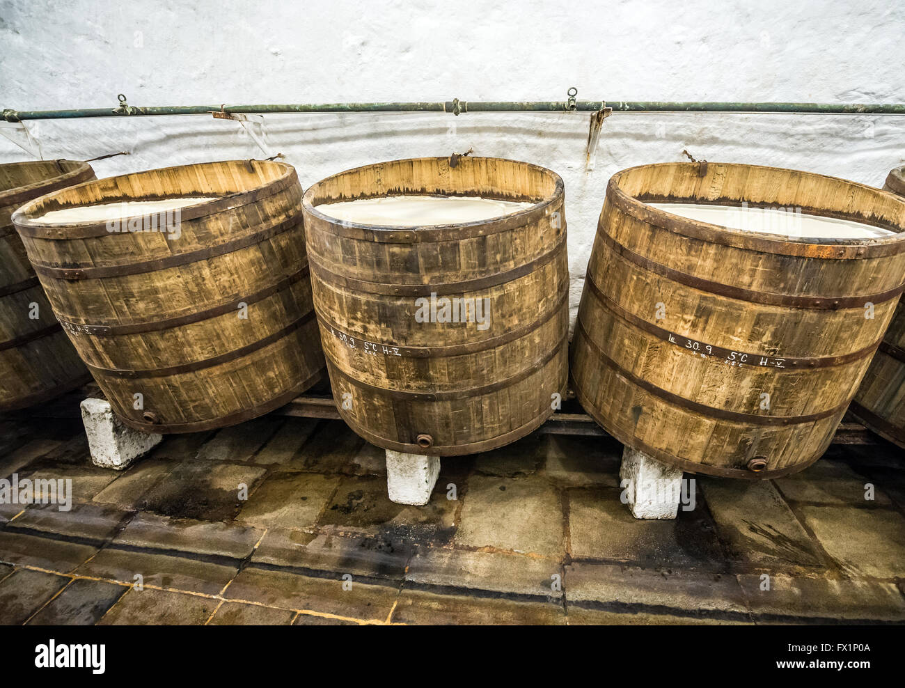 Wooden open fermentation barrels in the historical cellars of Pilsner