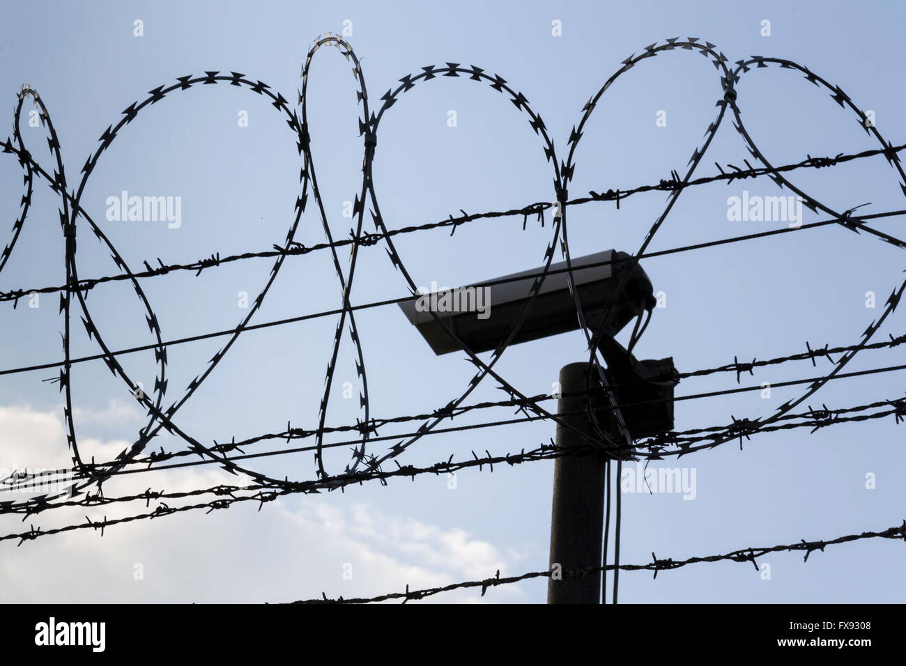 Barbed Wire Fence Prison Barbed Wire Fence Prison