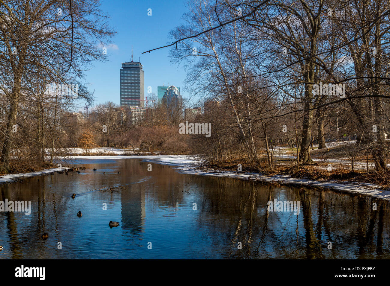 Prudential Tower from Back Bay Fens ,Boston Stock Photo, Royalty Free