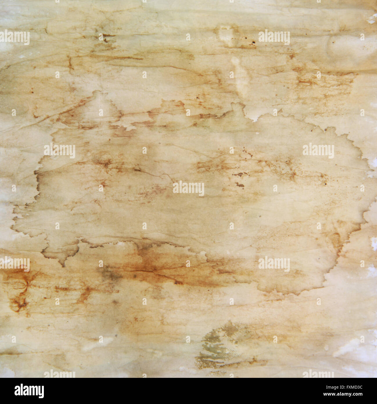 Designed Grunge Texture Old Painted Paper Background For