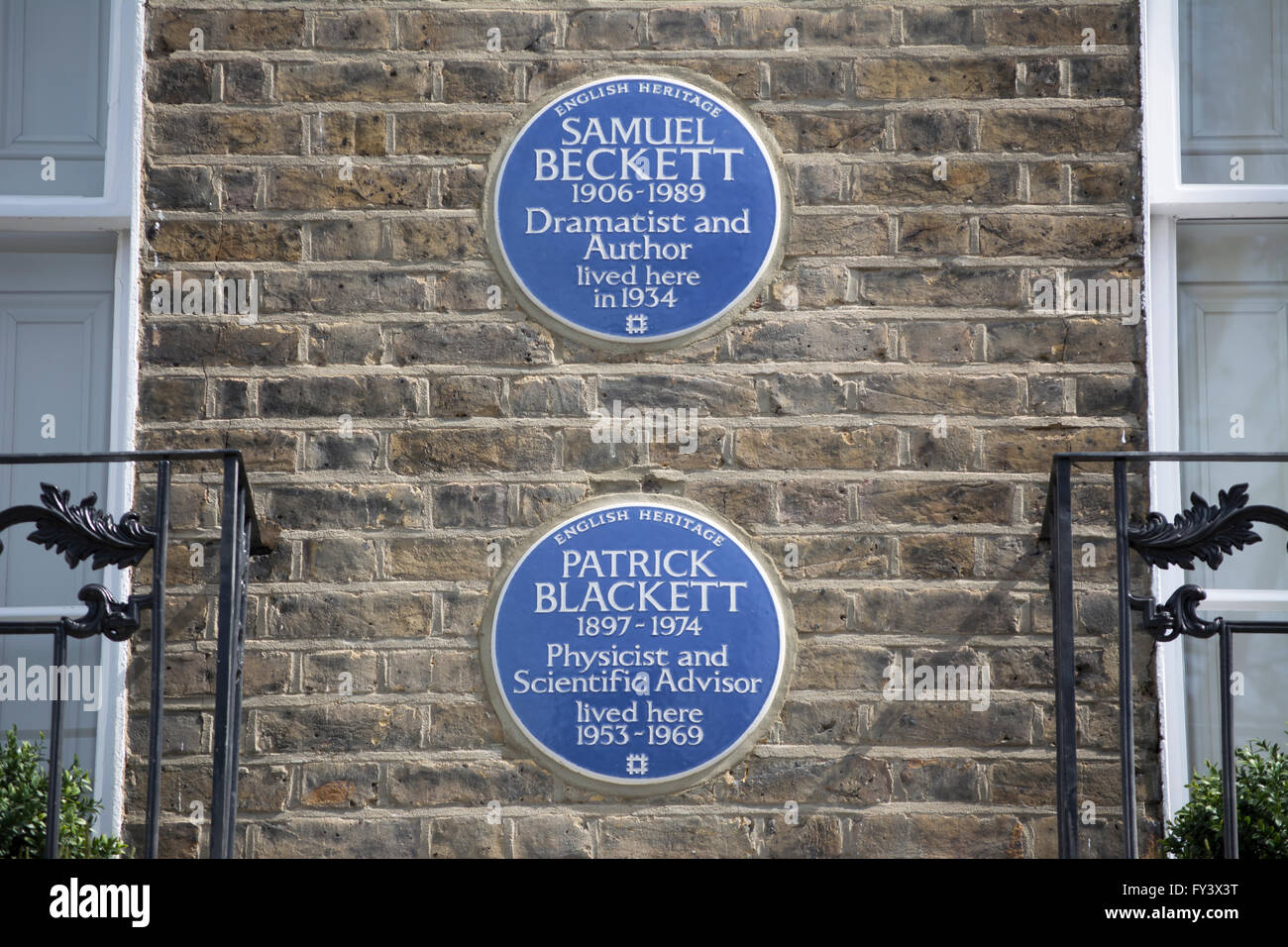 blue plaques in chelsea, london, england, marking homes of scientist