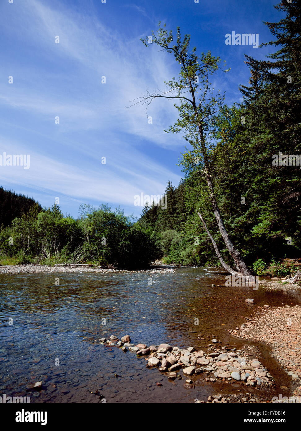 Gold Creek, Juneau, Alaska Stock Photo, Royalty Free Image 102941586