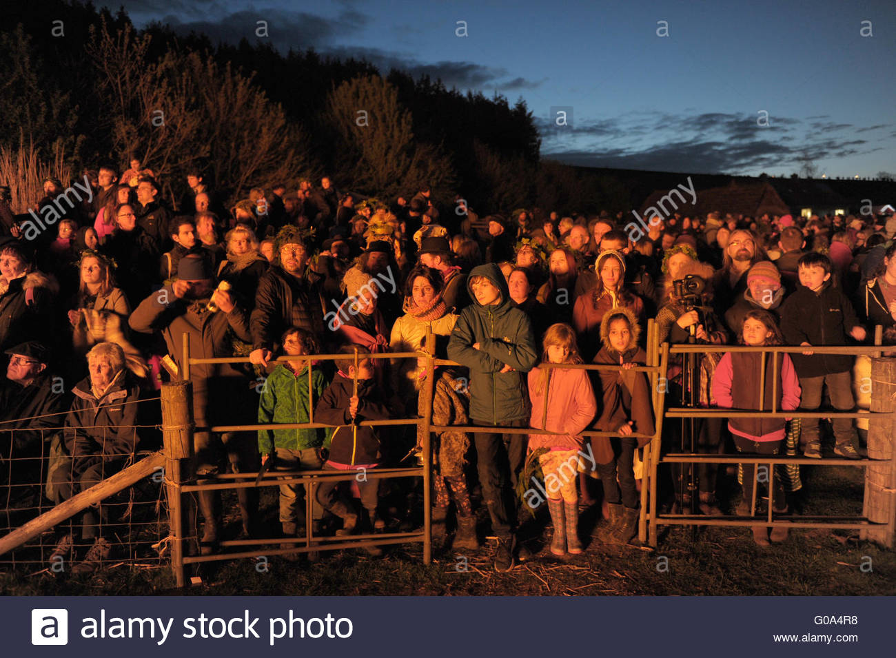 Annual burning of the Wickerman at the Beltain festival at Butser Stock