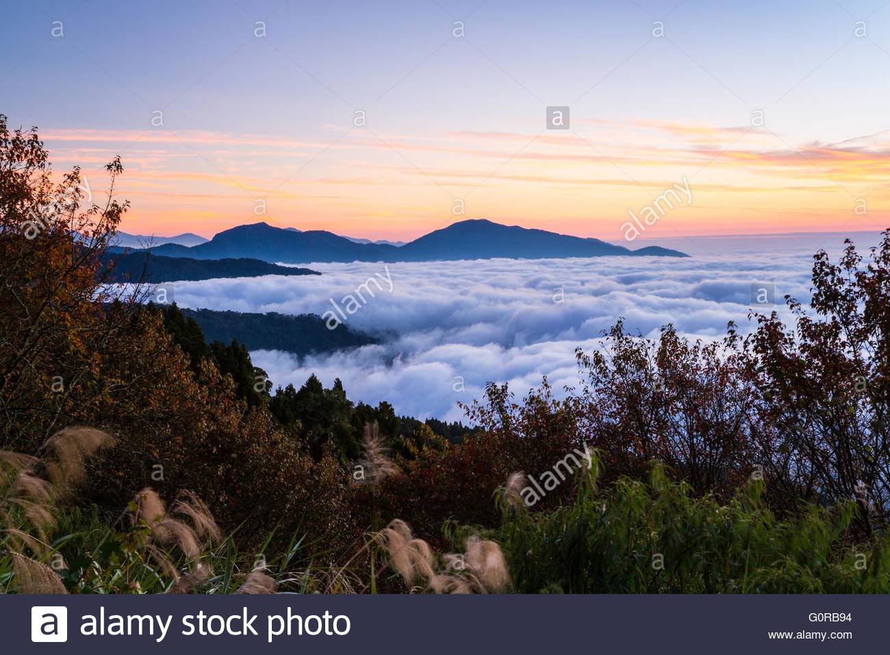 Chiayi County Taiwan Stock Photo, Royalty Free Image 103775984 Alamy