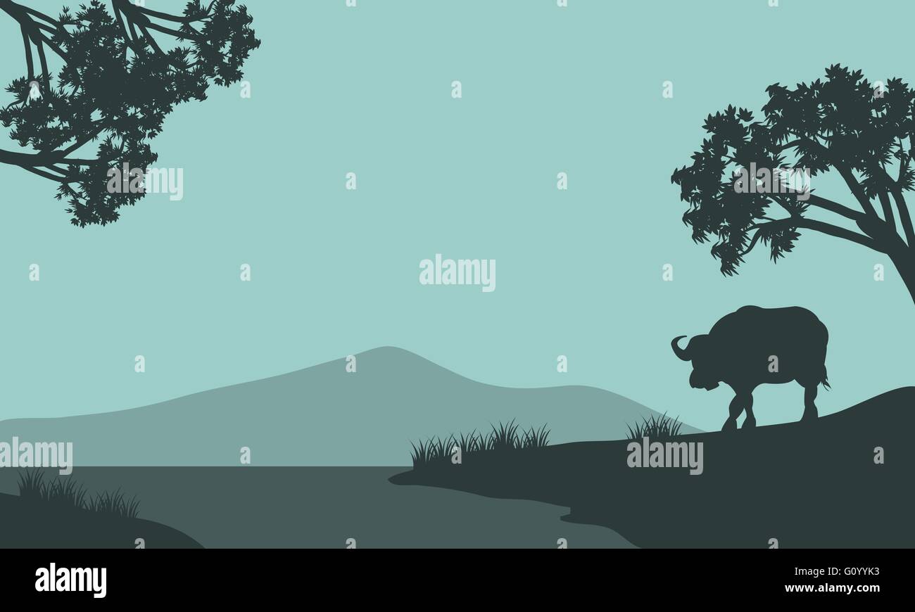 Single bison silhouette Stock Vector Art & Illustration, Vector Image