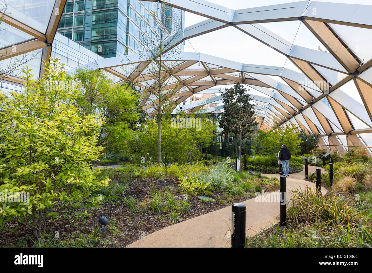 Crossrail Place Roof Garden, Canary Wharf, London Stock Photo, Royalty