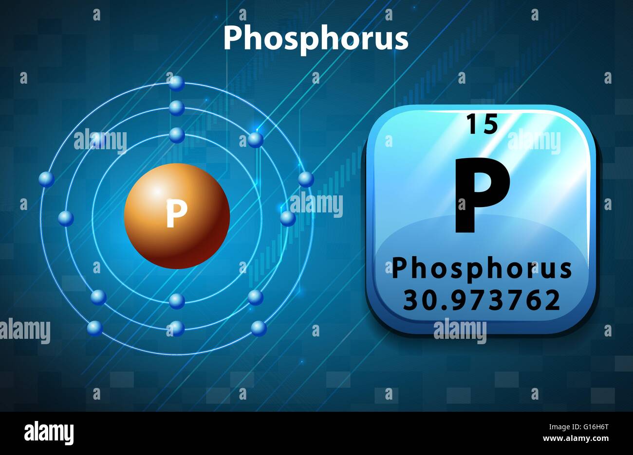 Flashcard of phosphorus atom illustration Stock Vector Art