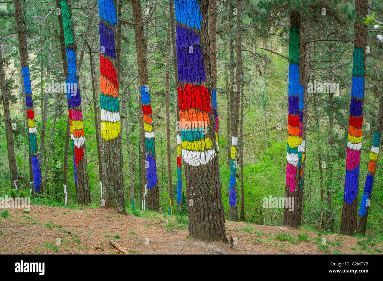 Painted tree trunks, painted wood, El Bosque animado de Oma, artist