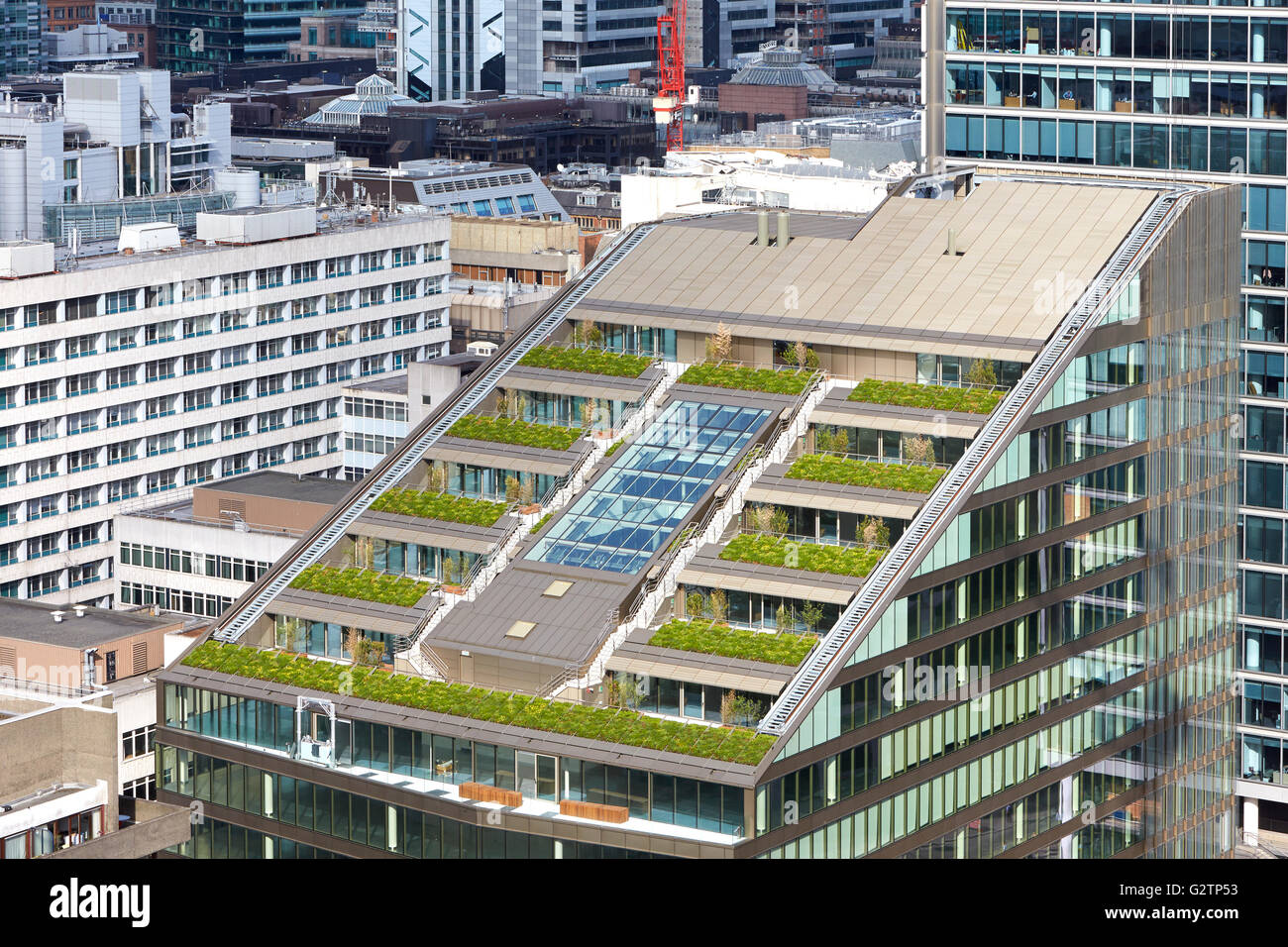 Bird's eye view of green rooftop terraces with context. Stock