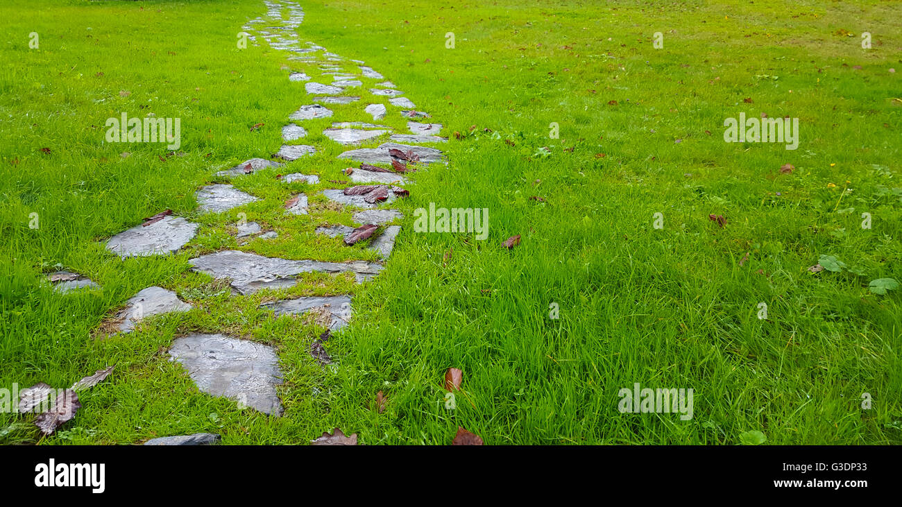 Pathway In The Autumn Forest Stock Photo Alamy