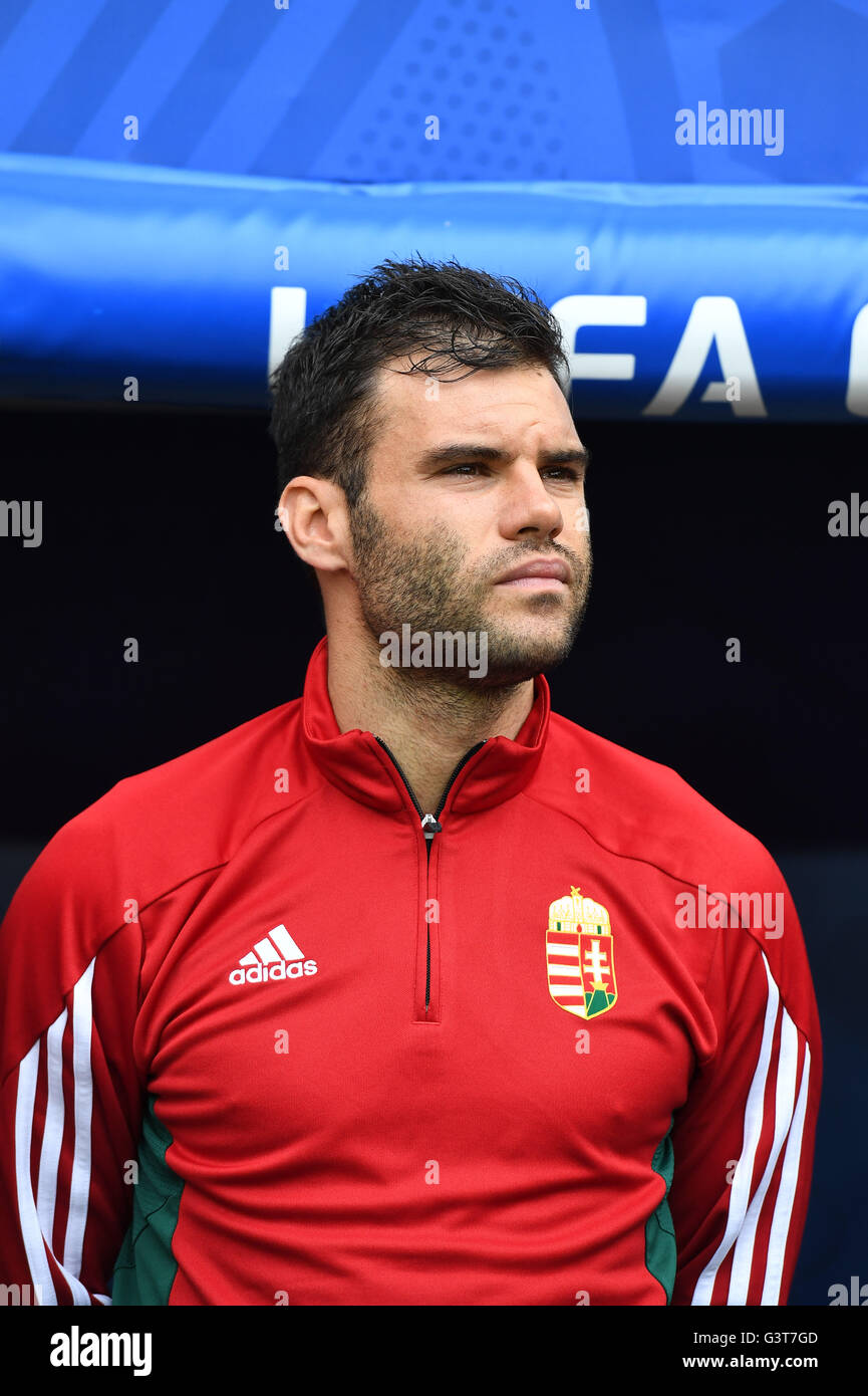 Nemanja Nikolic Hungary June Football Uefa Euro France