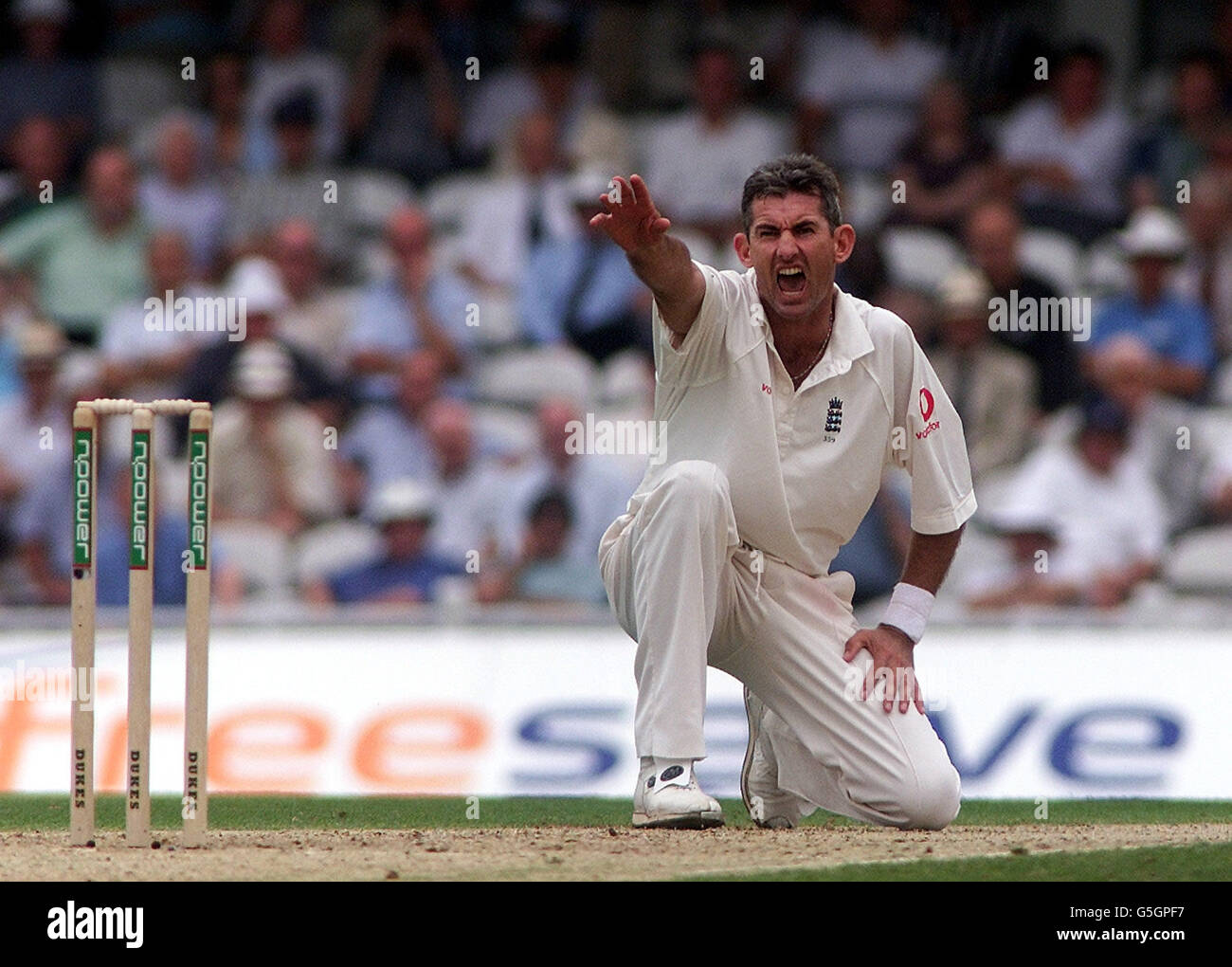 England Andrew Caddick Stock Photo: 106704395 - Alamy