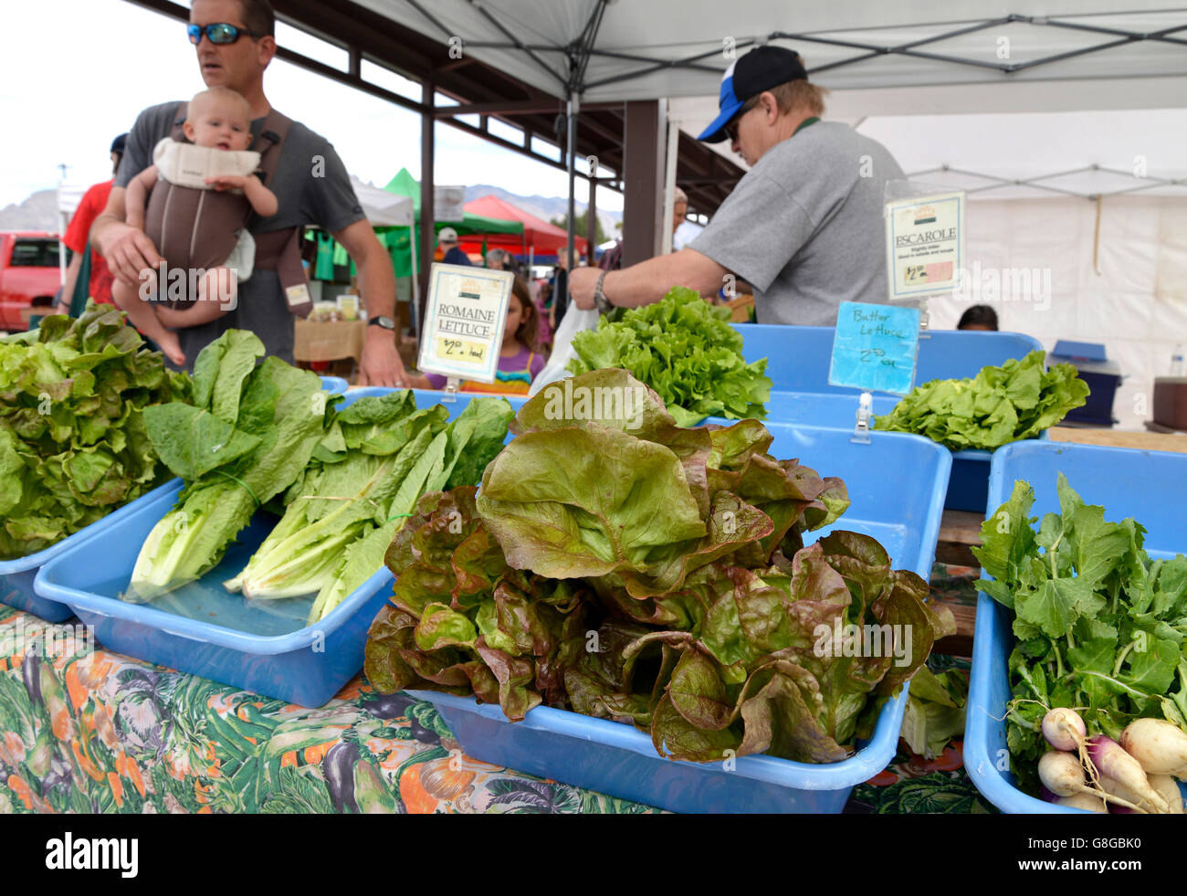 Lettuce, Farmers Market, Tucson, Arizona, USA Stock Photo, Royalty Free