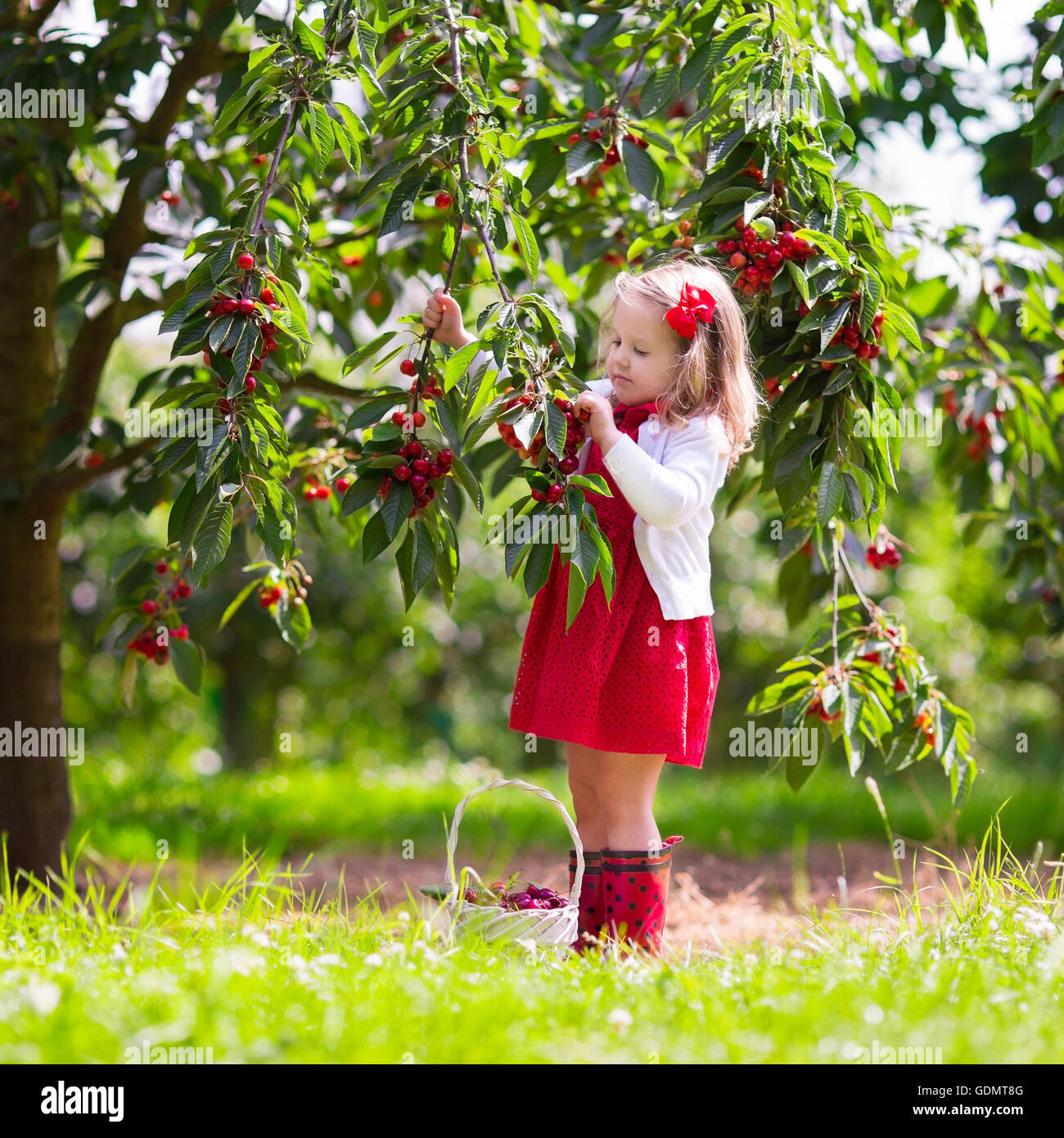 34 Cool fruit farm for Fruit Farm Photography
76uhy 34 Cool fruit farm for Fruit Farm Photography
76uhy