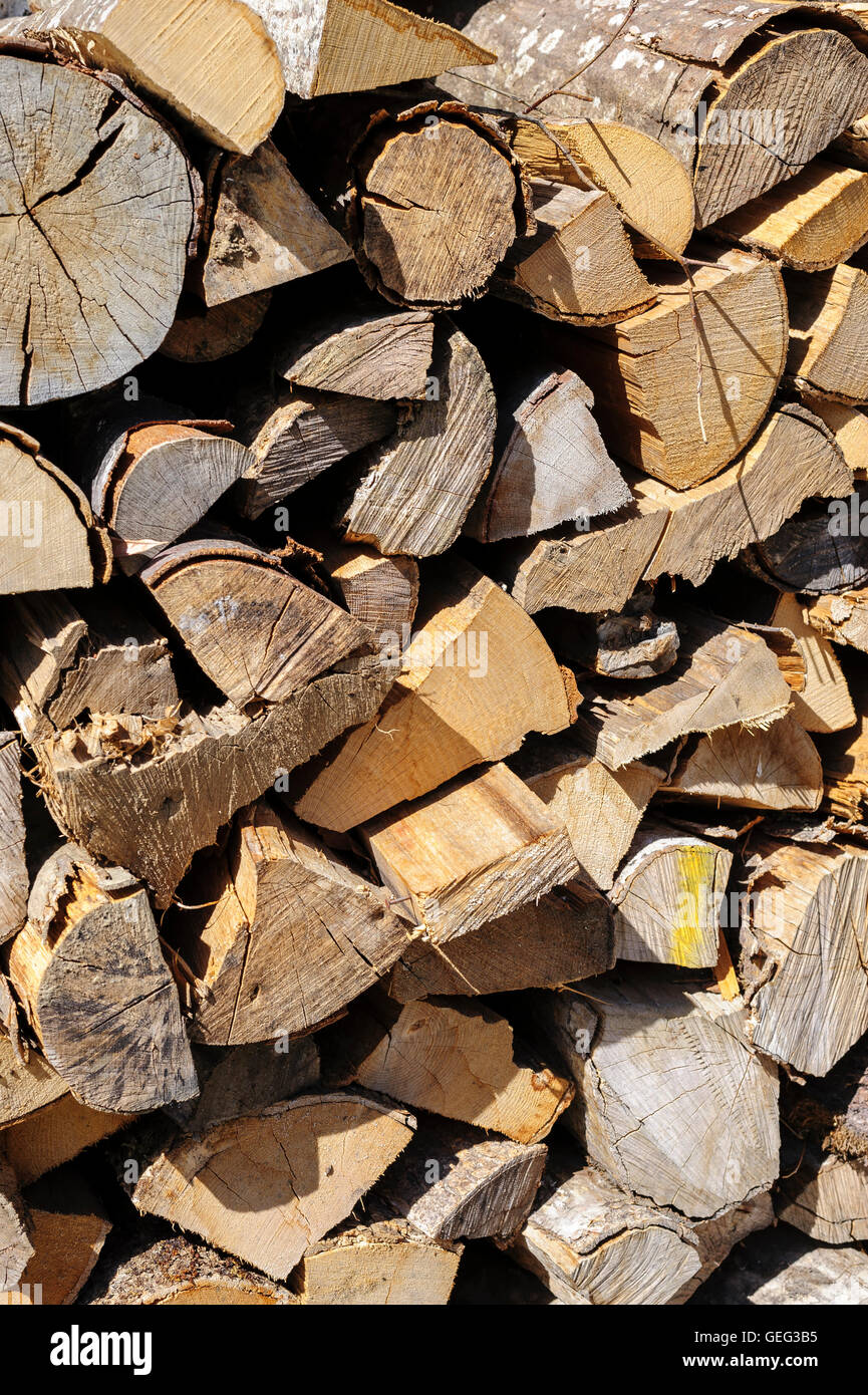 cut ends wood in a log pile. Chopped and stacked pile of wood cut Stock Photo