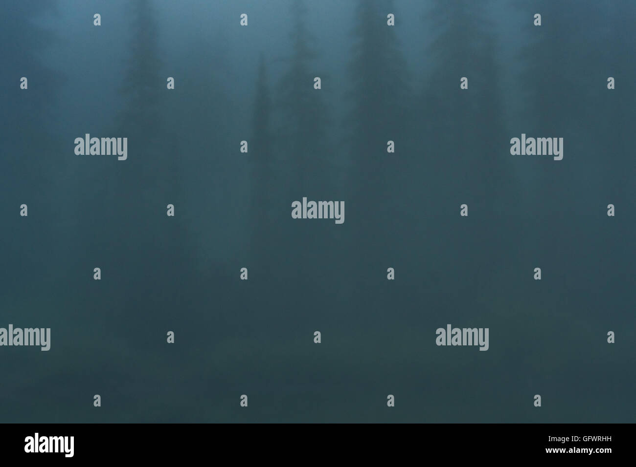 spooky background
