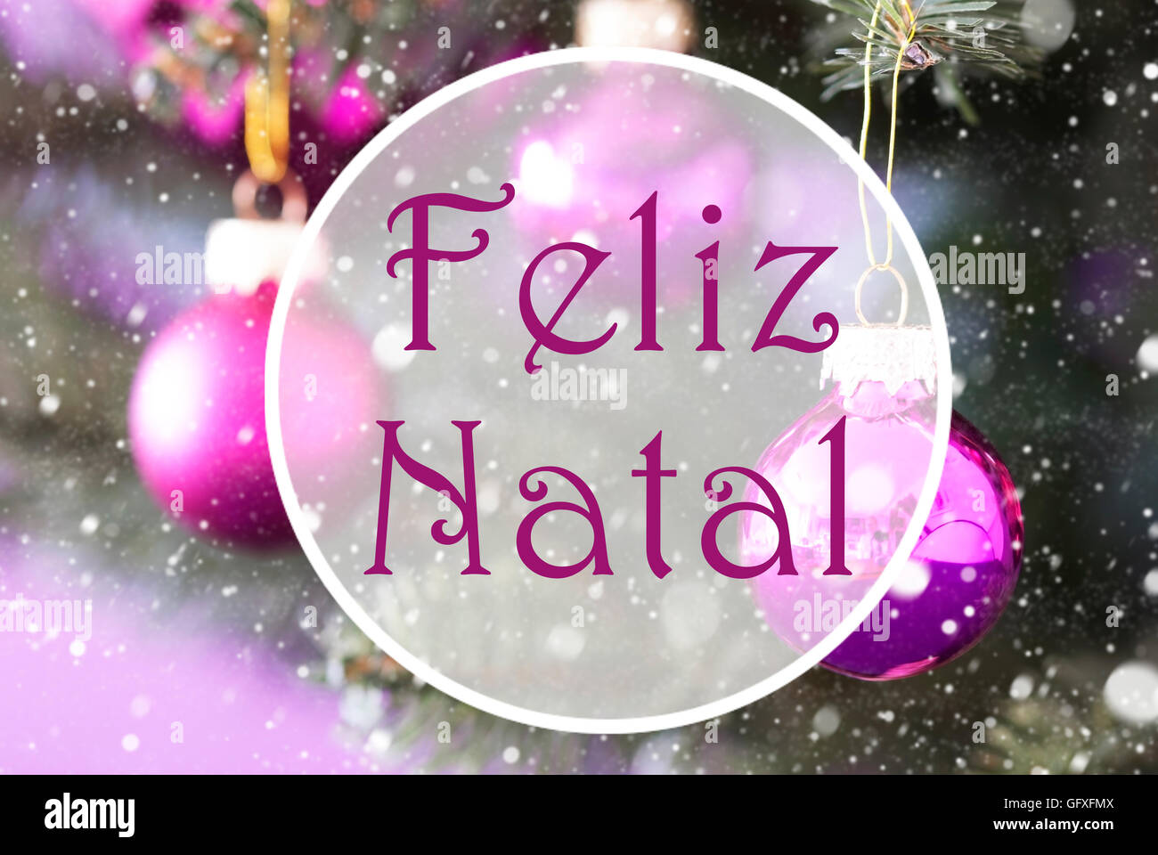 Feliz Natal Hi Res Stock Photography And Images Alamy