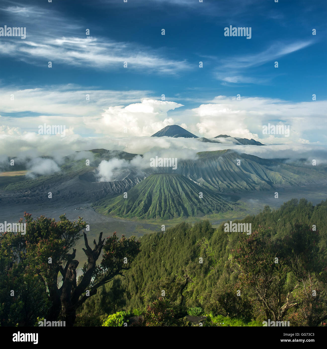 Mount Bromo And Batok Volcanoes In Bromo Tengger Semeru National Park